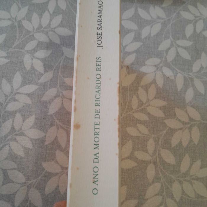 O Ano da Morte de Ricardo Reis de José Saramago