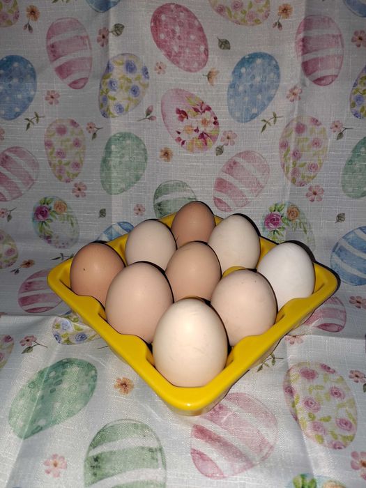 Talerz / patera na jajka