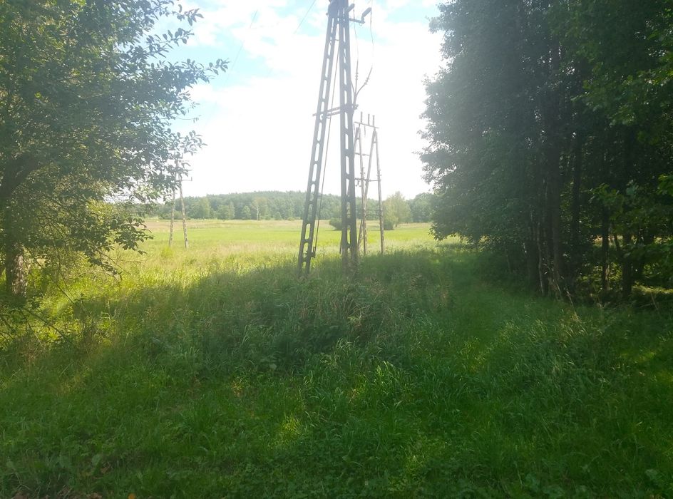 Działka na dzierżawę,wynajem - Widok 5
