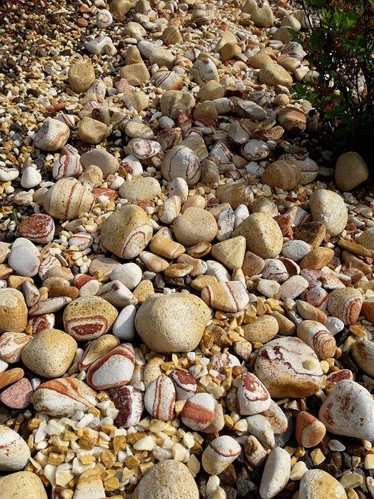 Kamień Otoczak tęczowy 3-6 cm - wyjątkowy kamień ozdobny do ogrodu