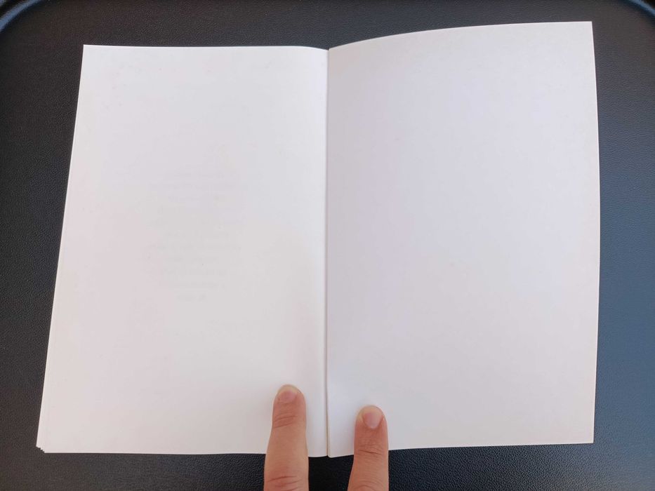 Livro "És Meu", Rita Ferro
