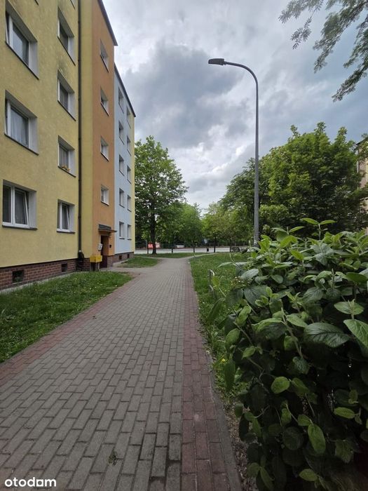 Mieszkanie Centrum Miasta-2 Pokoje