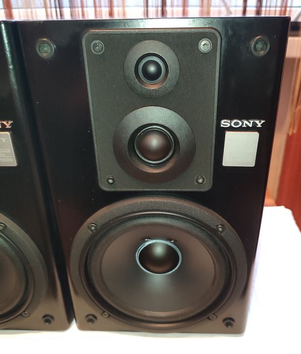 Boxe Sony SS H 5500.