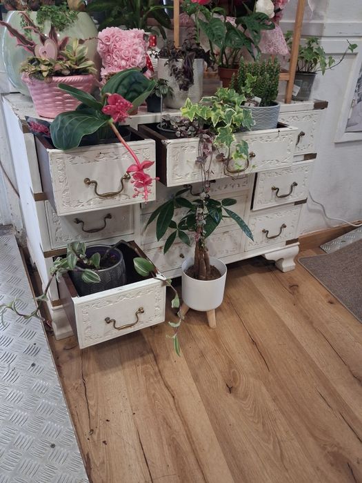 Móveis restaurados estilo vintage