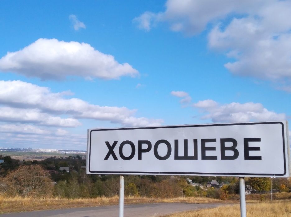Будинок за містом біля лісу. Відпочинок на природі. Мангал, коні