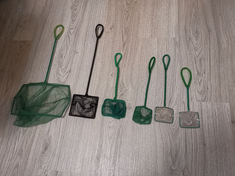 Camaroeiros para aquário