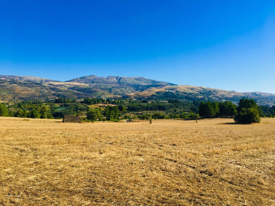 Terreno agrícola 4,93 ha para arrendamento com água | Vila Cortês da Serra, Gouveia | EN17