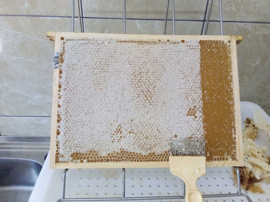 Miód z własnej pasieki 2025