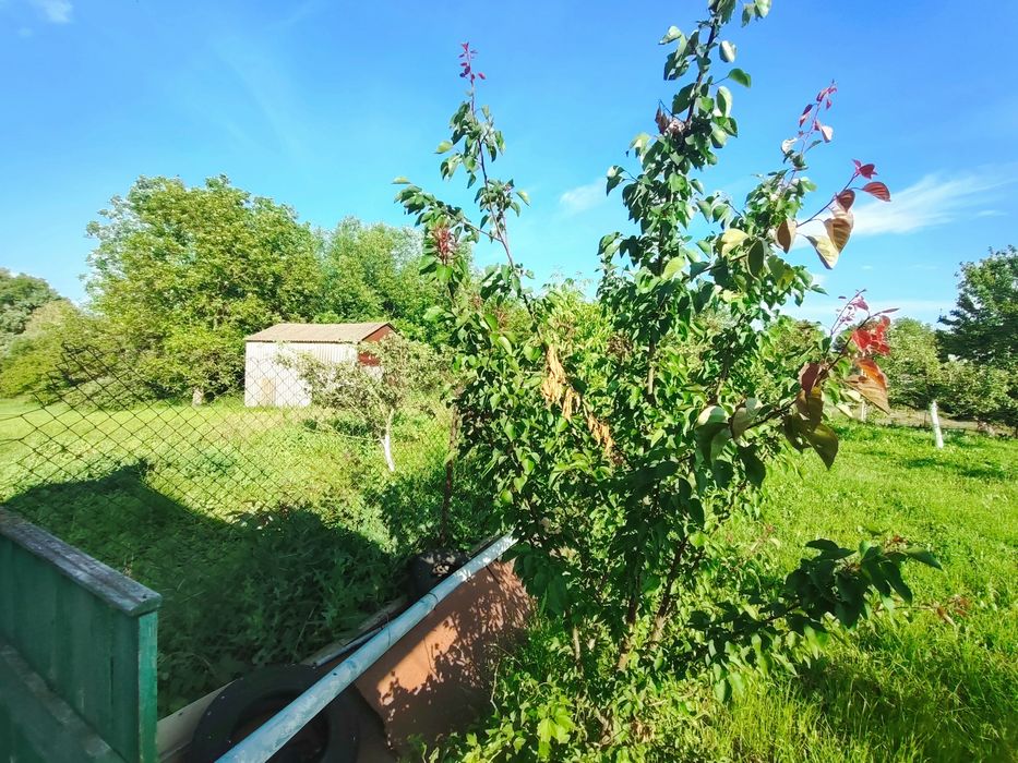 House by the address st. Magistratskaya (area 77 m²) - Atlanta.ua - photo 23