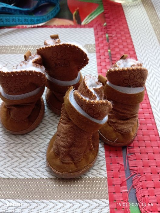 Обувь для собачки.