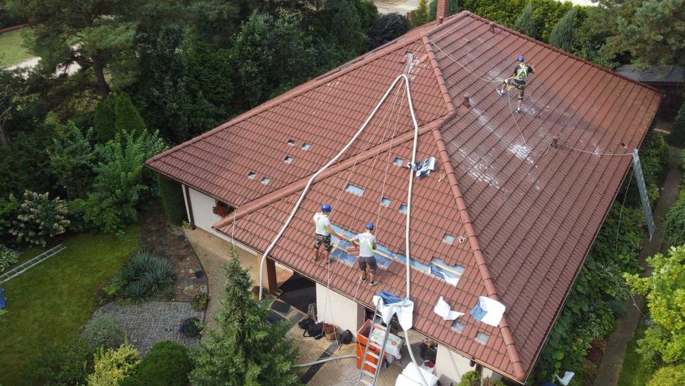 Kuna na poddaszu pastuch i naprawa dachu pomoc ubezpieczenie Łódź