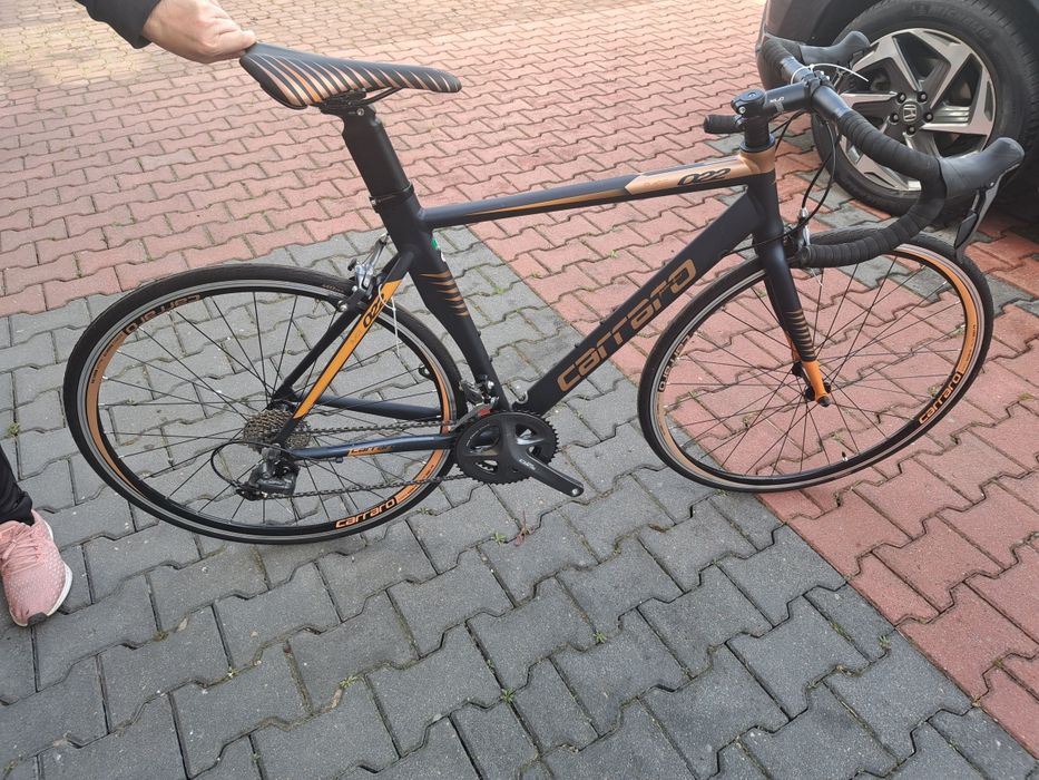 Rower CARRARO race 022