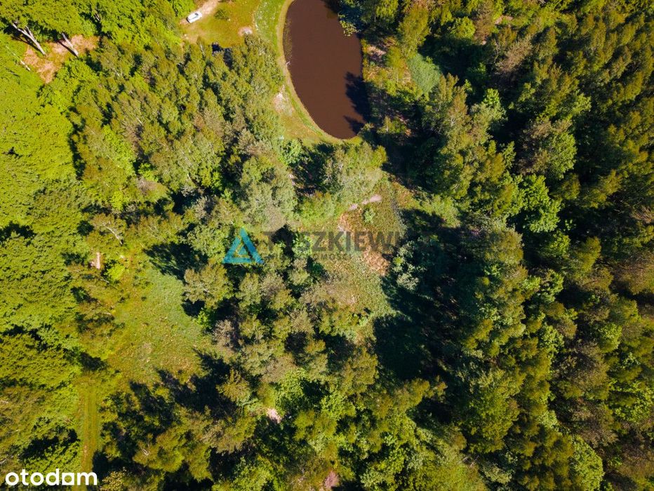 Działka w otulinie lasów! - Widok 3
