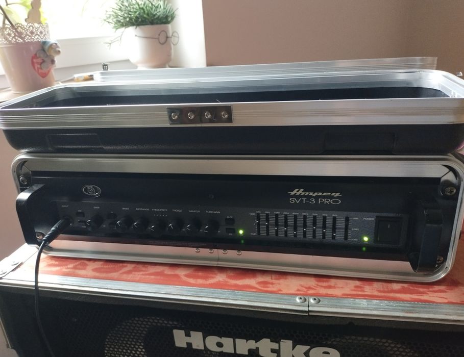 Head SVT 3 PRO basowy