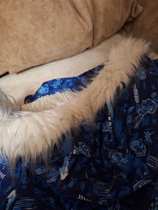 Зимова куртка і штани для хлопчика