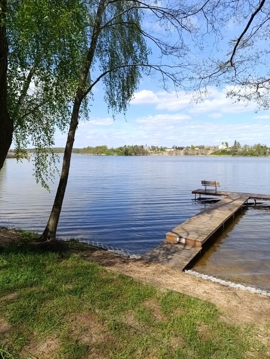 Działka na wynajem nad Jeziorem Lubotyń/pole kemping i namiotowe