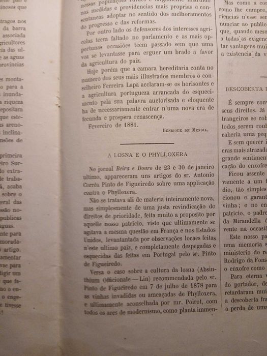 Gazeta dos Lavradores, Março de 1881