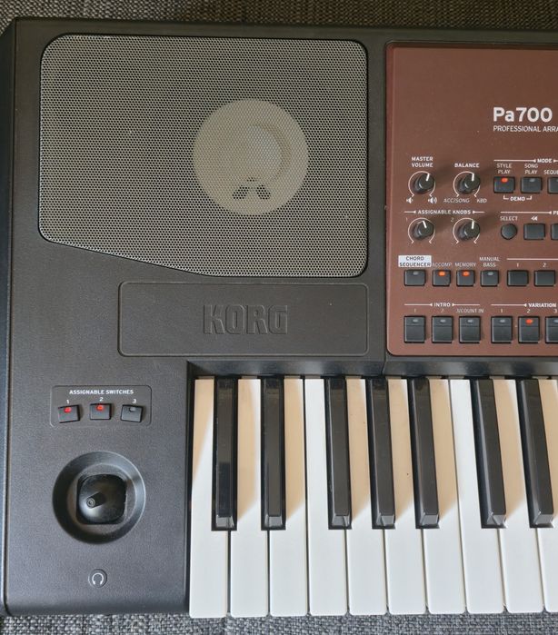 Korg pa700 
1050 euros