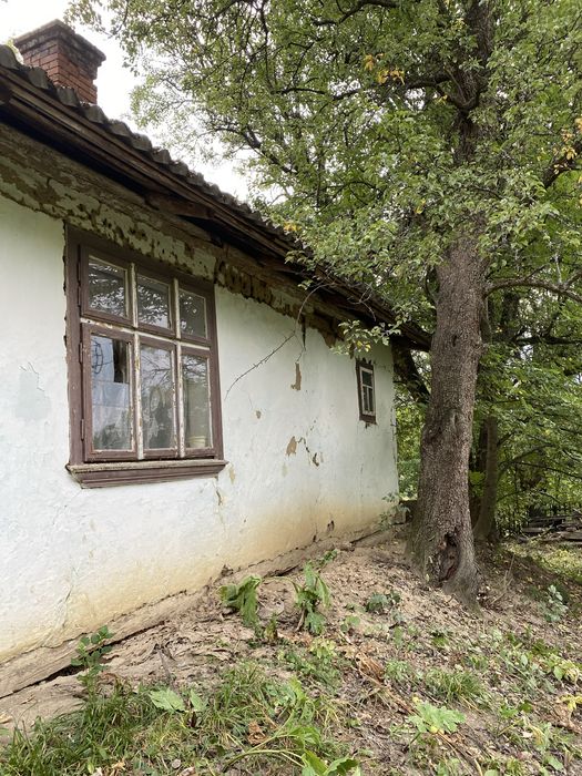 продам дачу з великою кількістю землі.