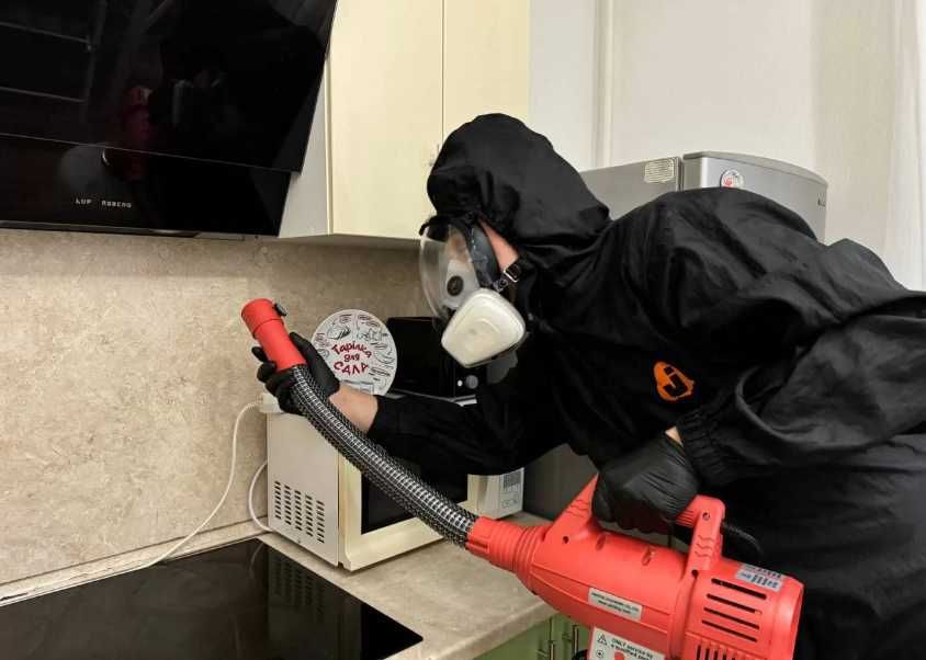 Травля тараканов безопасная санитарная обработка жилья