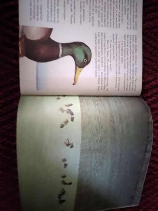 Literatura infantil polaca