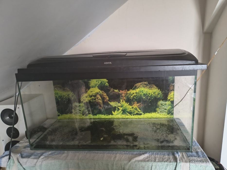 Sprzedam Akwarium 200 l