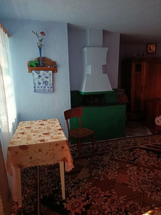 Продам 2 будинки + земельна діляка, Вінницька обл., с. Козлів