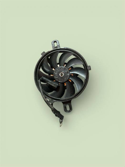 165. Wentylator Benelli