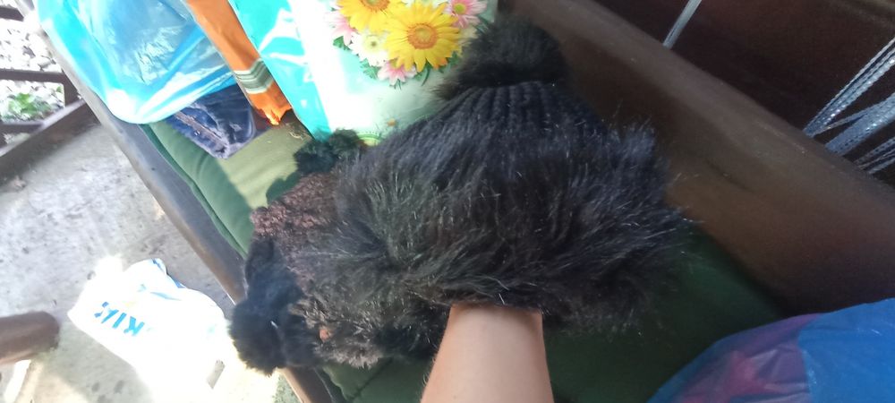 Sprzedam dwie nowe czapki futerkowe