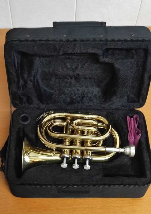 Trompete de Bolso - Pocket Trumpet em Si Bemol