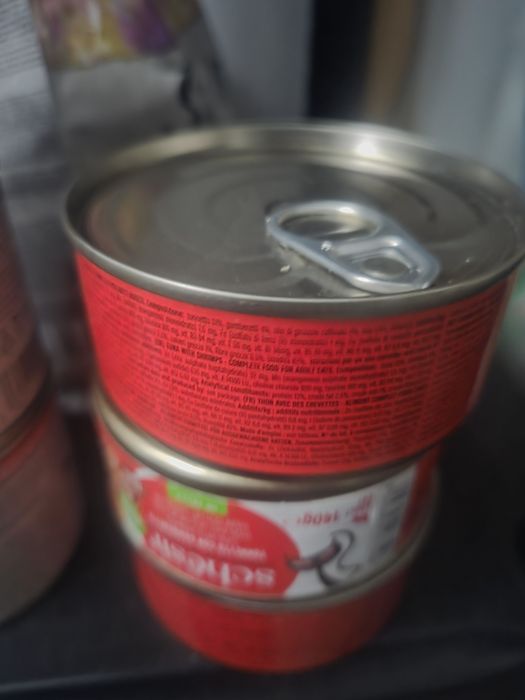 Karmy mokre dla młodego kociaka