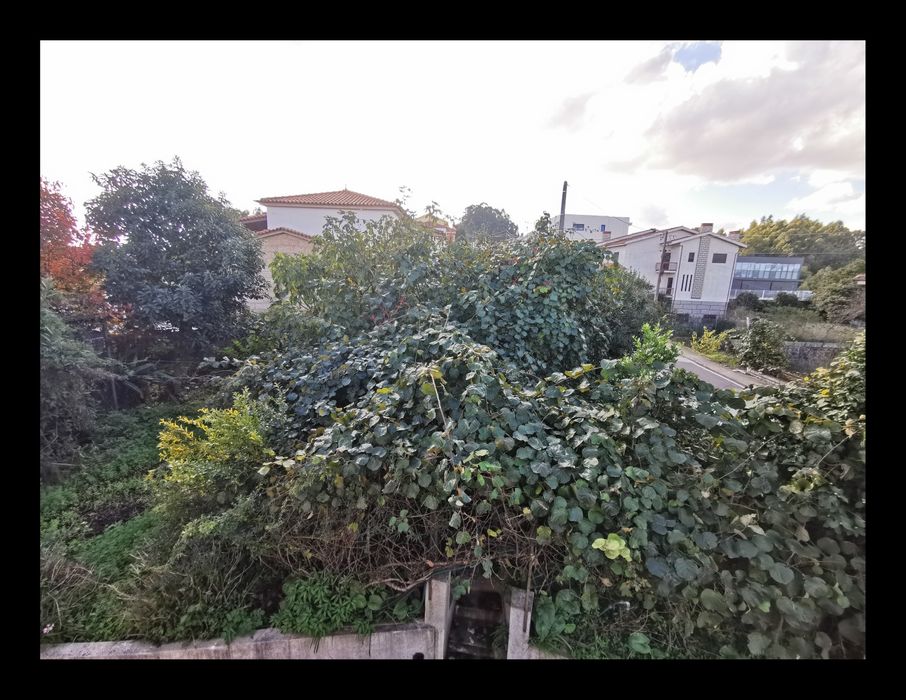 Limpeza de terrenos e Remodelações