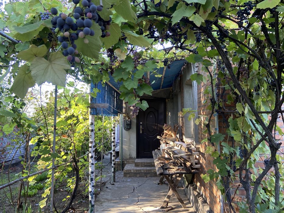 Продам дом Долгинцево