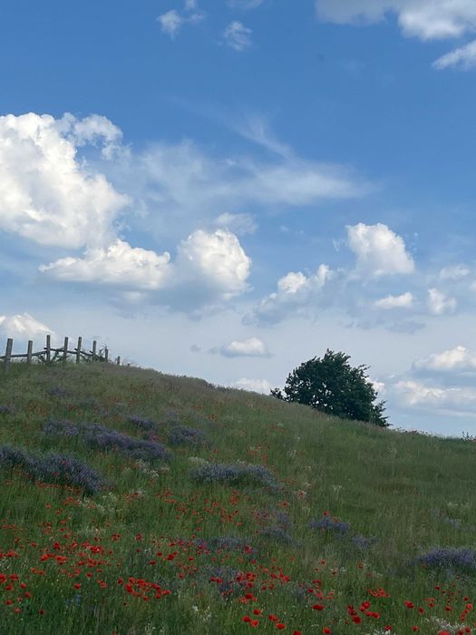 OSTATNIA ! Działka na sprzedaż