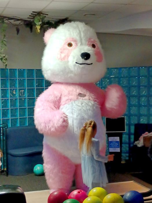 Atrakcja na imprezę Maskotka Ogromny Miś Panda Animator