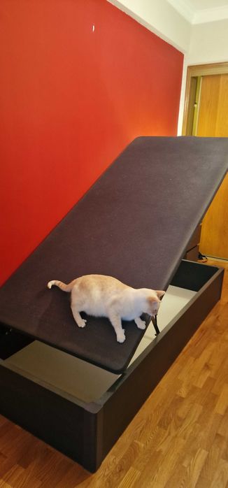 Cama solteiro com arrumação. 90cm×2metros de madeira.