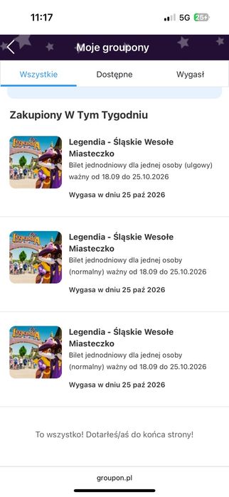 Bilety Legendia Wesołe Miasteczko