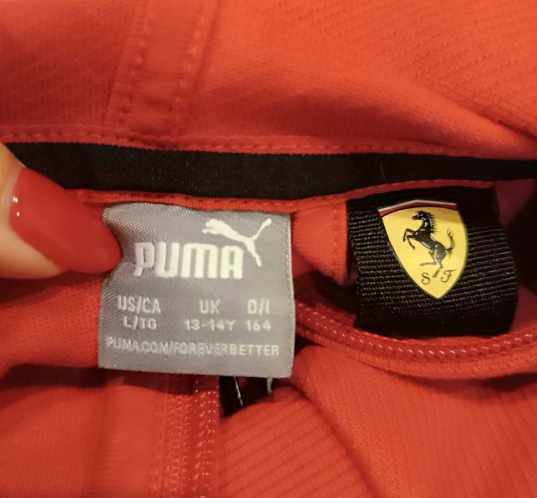 Bluza puma Ferrari 164