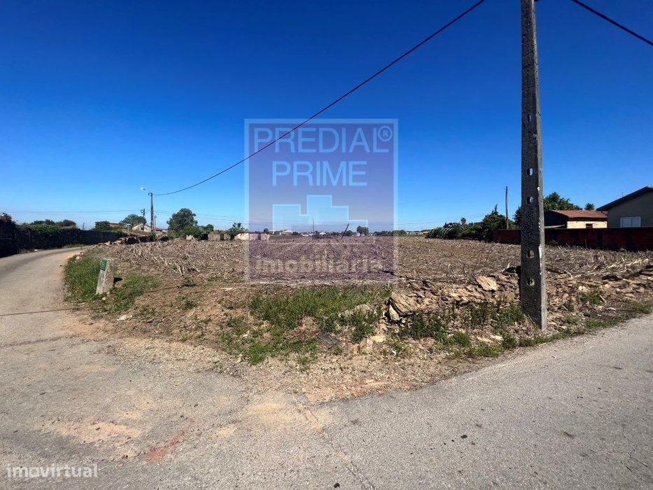 Excelente Terreno Para Construção Em Loureiro — Loureiro, Aveiro