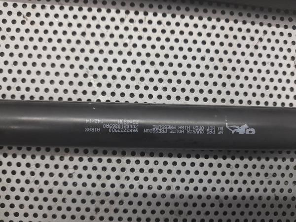 Amortecedor da mala CITROËN C3 II (SC_)