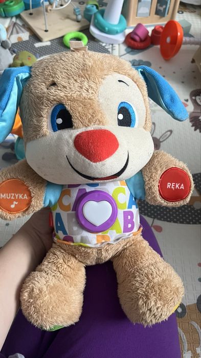 Szczeniaczek uczniaczek