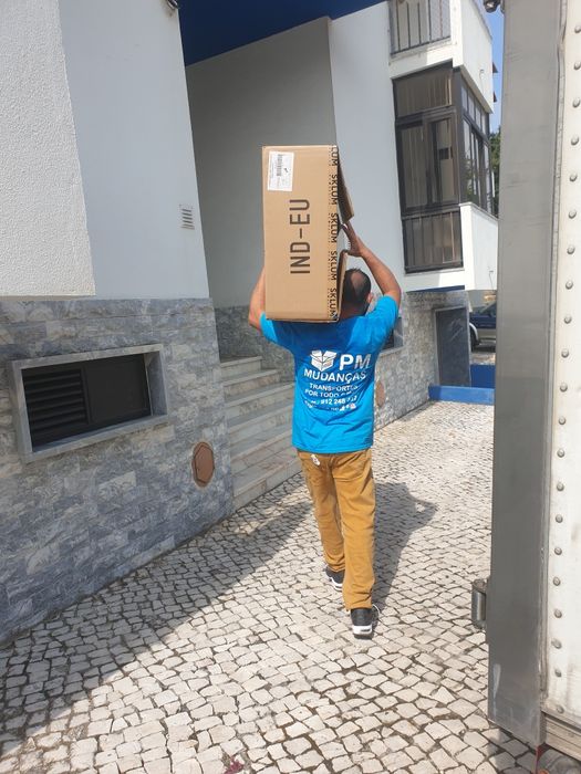 Mudanças e Transportes Nacional/Internacional