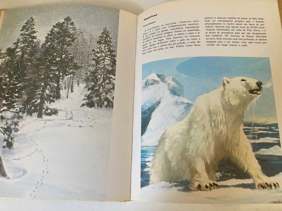 Livro - Animais de Todo o Mundo (ctt editorial grátis)