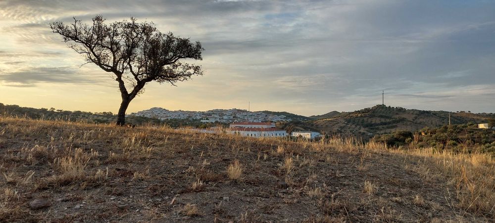 Prédio Rústico - Cerca das Almas