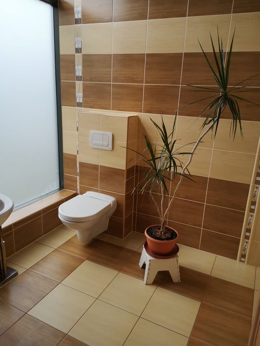 Sprzedam komnatę solną SOLBELLA z Gabinetami Zdrowia 164m2 w Gryfinie