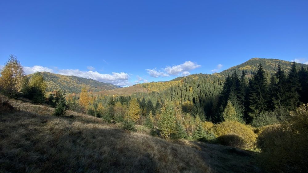 Земля під будову, межує з лісом, гарний доїзд