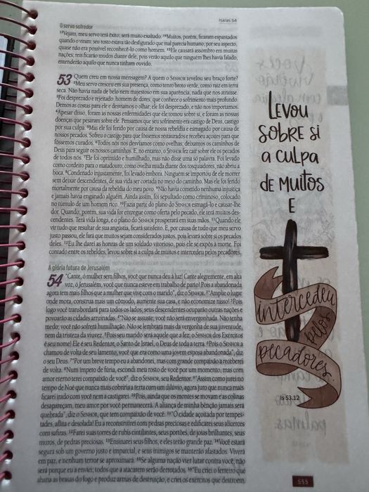 Biblia Anote NVT