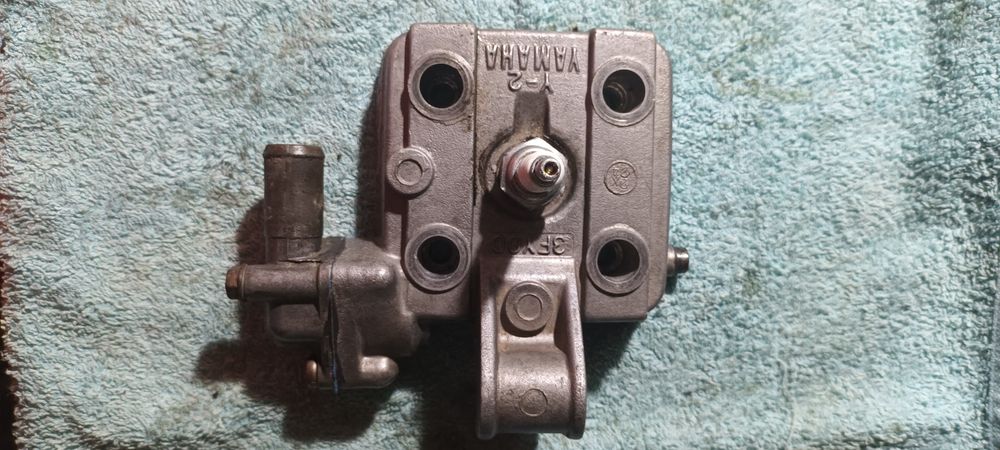 --   Colaça Tzr   --