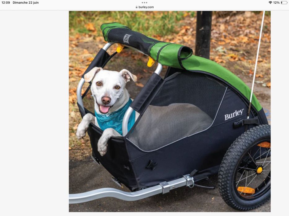 Reboque de bicicleta para cães marca Burley