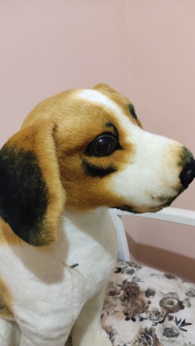 Собака велика м'яка іграшка